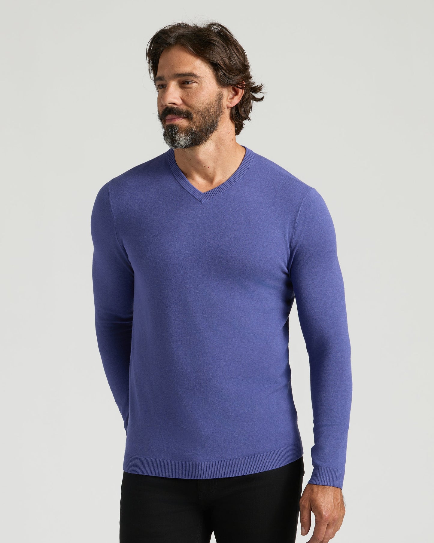 Blueberry Dressy V-Neck Sweater