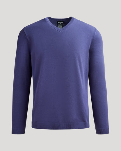 Blueberry Dressy V-Neck Sweater