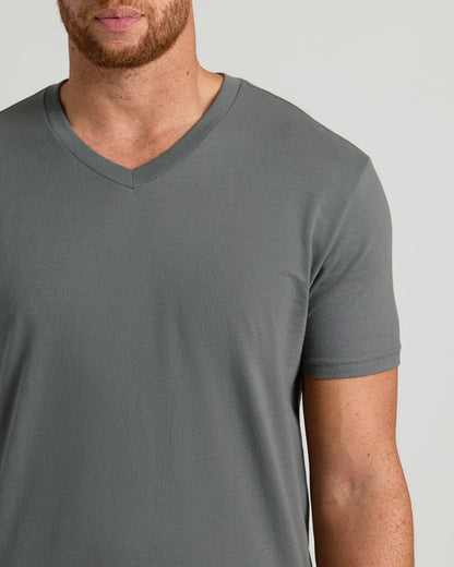 Carbon Tall Short Sleeve Classic V-Neck