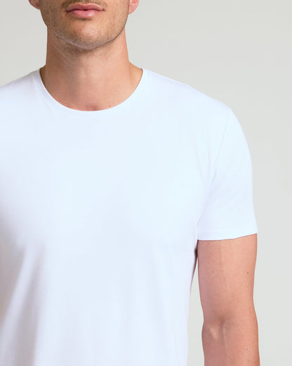 White Tall Premium Pima Crew Curved Hem 7-Pack